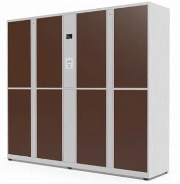 Sichere elektronische Paketschließfächer